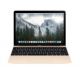 MacBook Retina 2015 8gb 256gb SSD 12" Intel Core M Gold