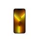 iPhone 13 Pro 1Tb Gold