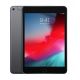 iPad Mini 5 64gb Space Gray WiFi
